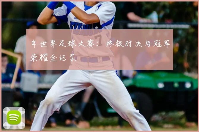 年世界足球大赛:终极对决与冠军荣耀全记录