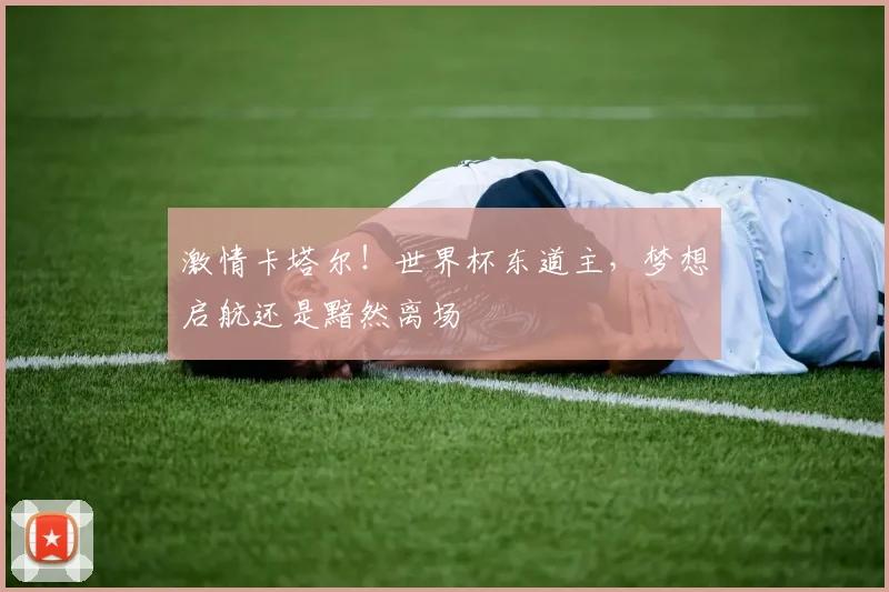 激情卡塔尔！世界杯东道主，梦想启航还是黯然离场